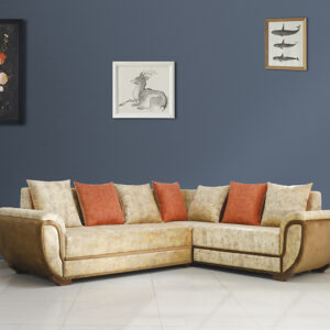 Section Styled Sofa